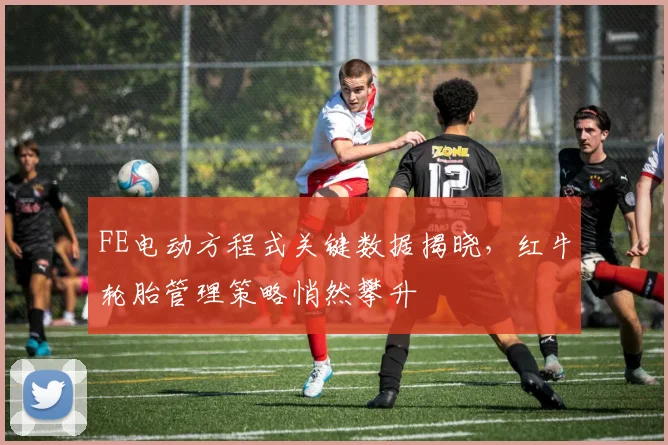 FE电动方程式关键数据揭晓，红牛轮胎管理策略悄然攀升