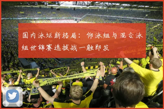 国内泳坛新格局：仰泳组与混合泳组世锦赛选拔战一触即发