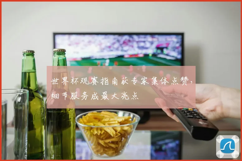 世界杯观赛指南获专家集体点赞，细节服务成最大亮点