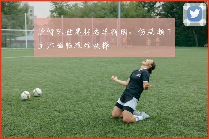 沙特队世界杯名单渐明，伤病潮下主帅面临艰难抉择