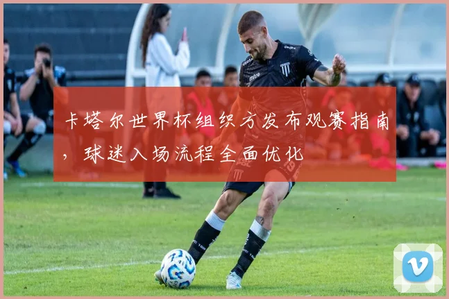 卡塔尔世界杯组织方发布观赛指南，球迷入场流程全面优化